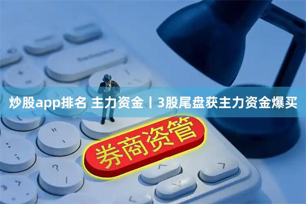 炒股app排名 主力资金丨3股尾盘获主力资金爆买